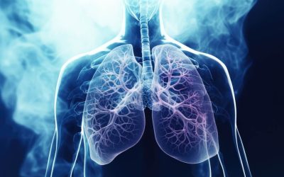 Anatomija pluća