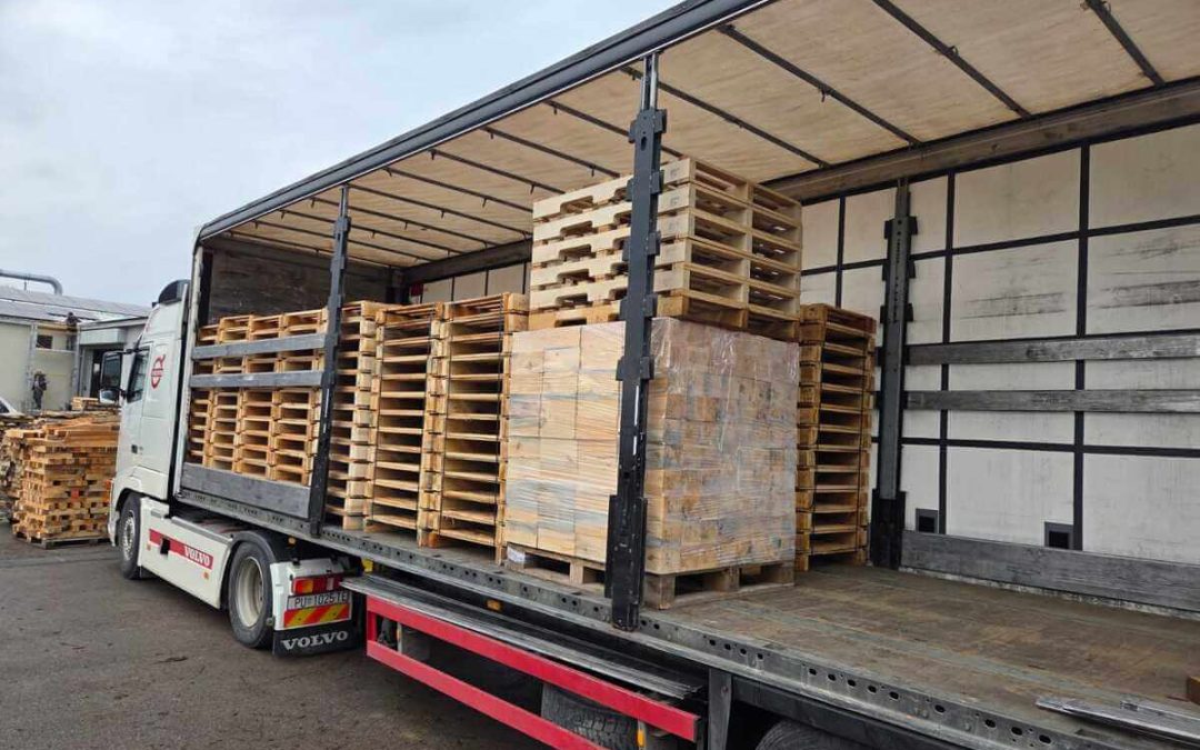 Palete kao temelj moderne logistike: kako pravilan odabir utječe na sigurnost i troškove poslovanja