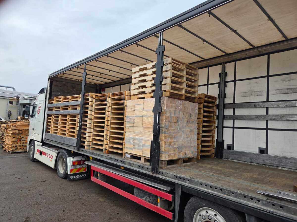 WhatsApp Image 2026-02-12 at 10.47.47 (1)