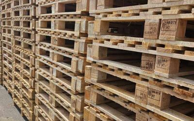 Sigurnost robe počinje prije transporta – važnost paleta u zahtjevnoj logistici